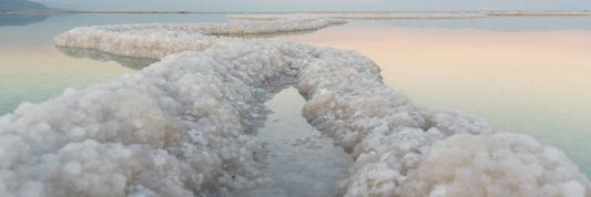 dead sea