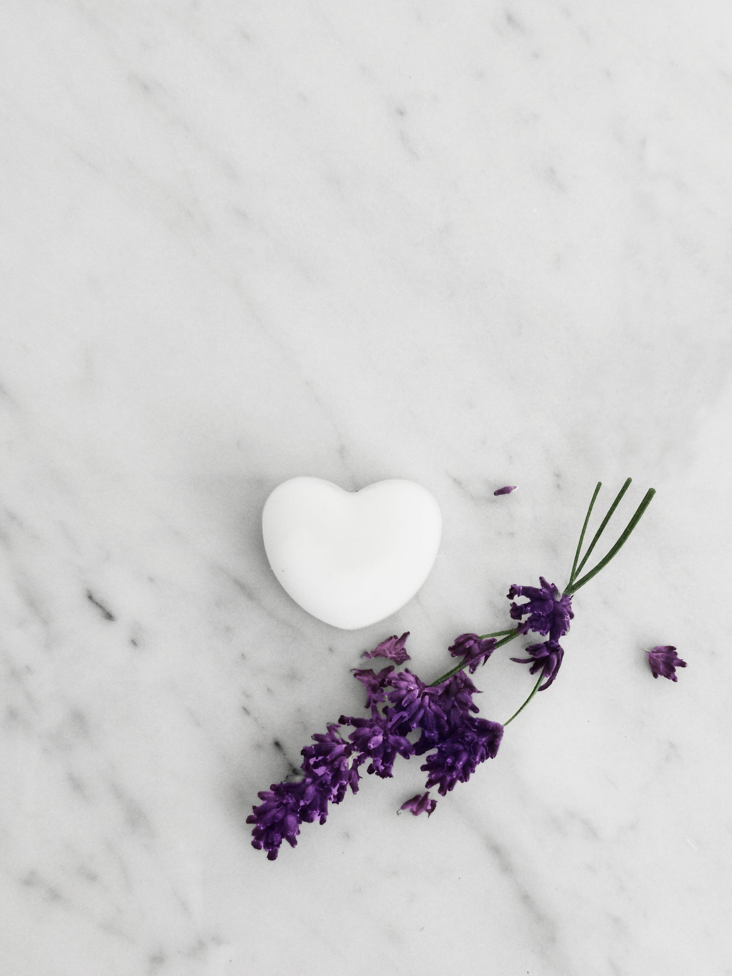 Lavender & Ylang Ylang Aromatherapy Naturally Scented Wax Melts