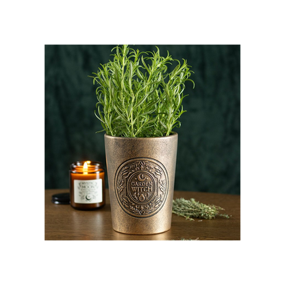 Garden Witch Bronze Effect Terracotta Plant Pot