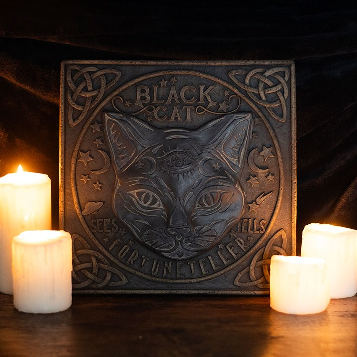 Black cat fortune teller stepping stone