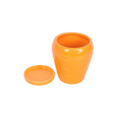 Carrot Shaped Plant Pot with Parsley Seed Balls