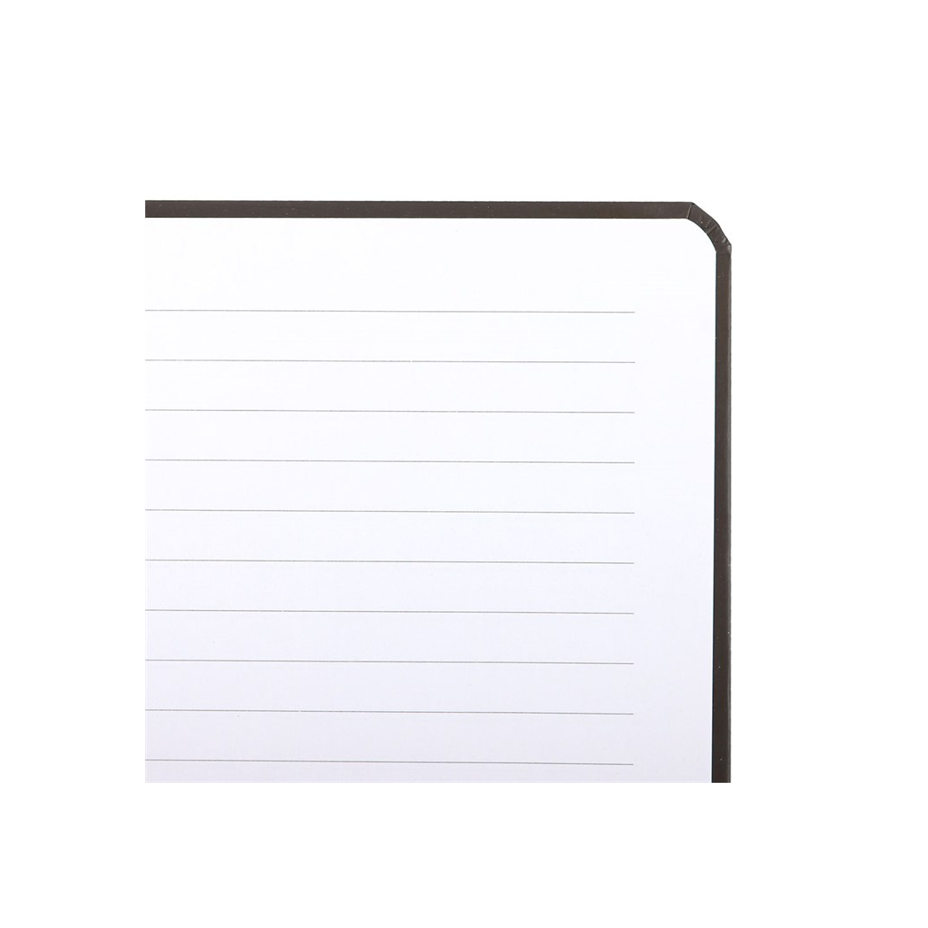 Bad Witch notebook 6