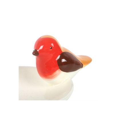 Robin Bird Bath Trinket Dish
