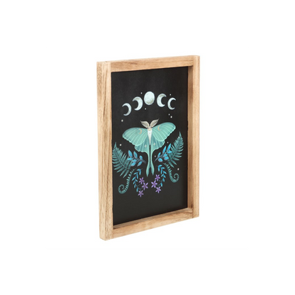 Luna Moth Wooden Framed Wall Art