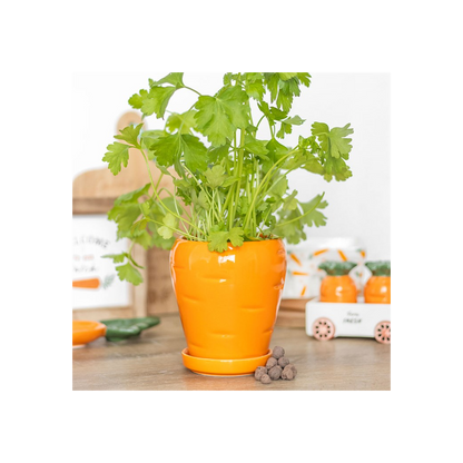Carrot Shaped Plant Pot with Parsley Seed Balls